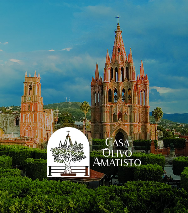 Casa Olivo Amatisto Website